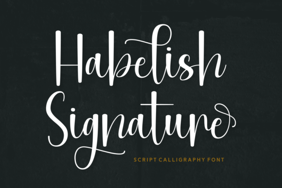 Habelish Signature: The Welcoming Script with a Designer's Discipline