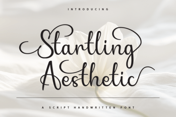 Startling Aesthetic: A Script Font Built for Modern Marketing